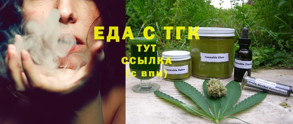 индика Галич